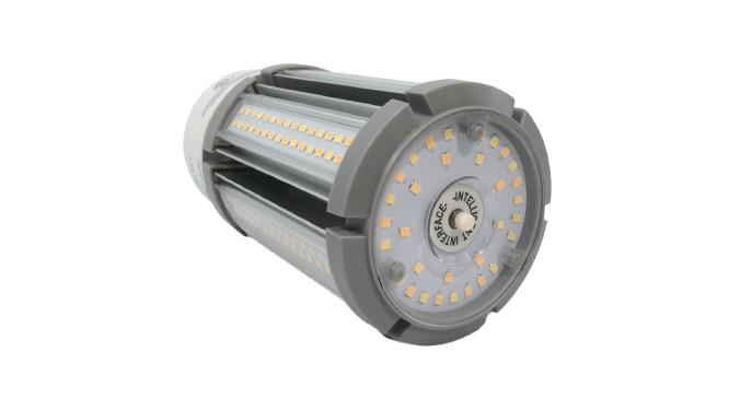 LED36WPTCCTMED-G8 by EIKO