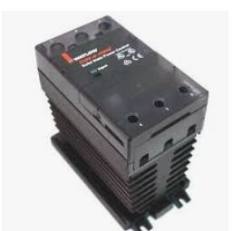 DC10-20P0-0000 by WATLOW