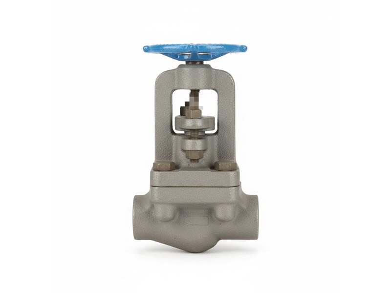 W053054B-02TY by VELAN VALVE
