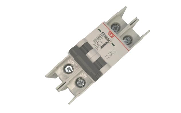 LS ELECTRIC BK63HU-2P-10A-240V