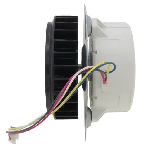 RTG20212K by RHEEM