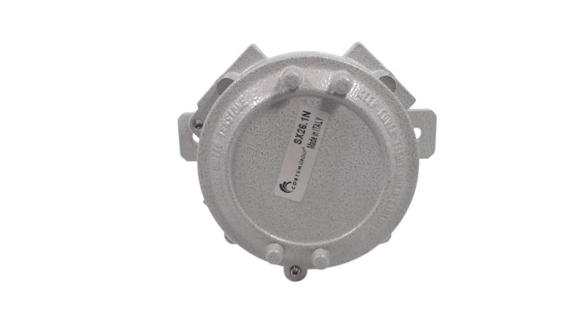 CORTEM GROUP SX26.1N