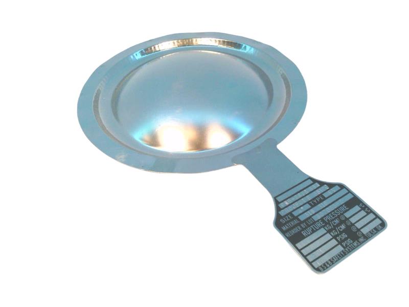 PSE-563 & 564 by BS&B SAFETY SYSTEMS