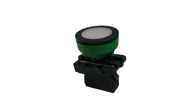 SCHNEIDER ELECTRIC XB5FVG1