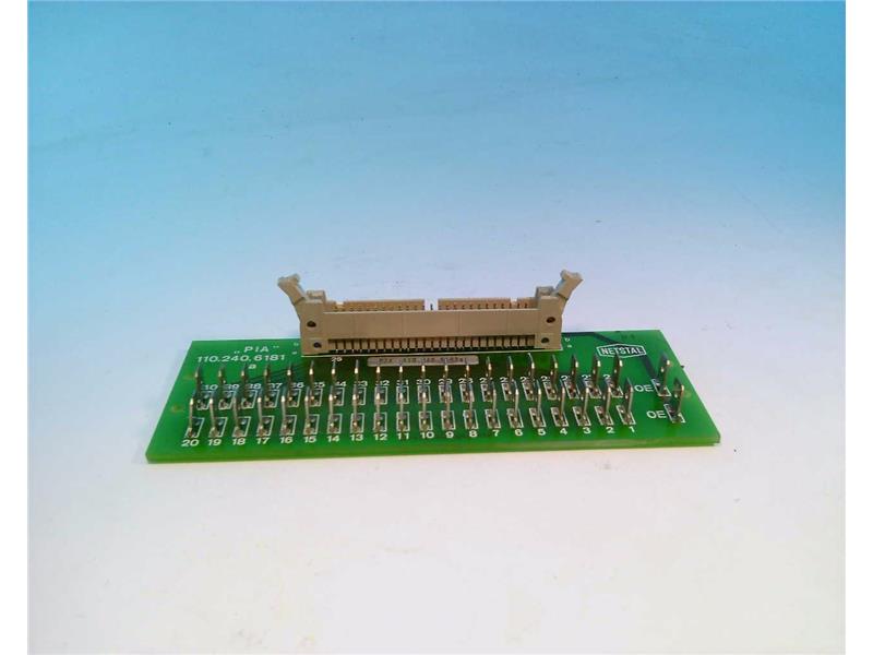 110.240.6181 by NETSTAL