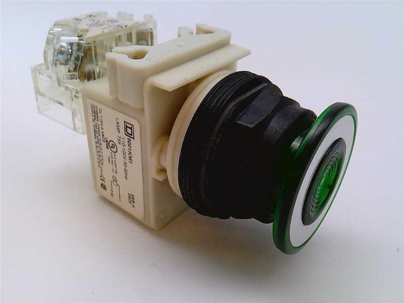 SCHNEIDER ELECTRIC 9001-SKR9P1GH13