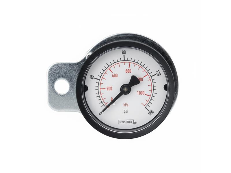 20-110-15-PSI/KPA-SSB-PMC by NOSHOK