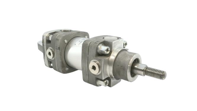 JOYNER DUDJS-81-50/50