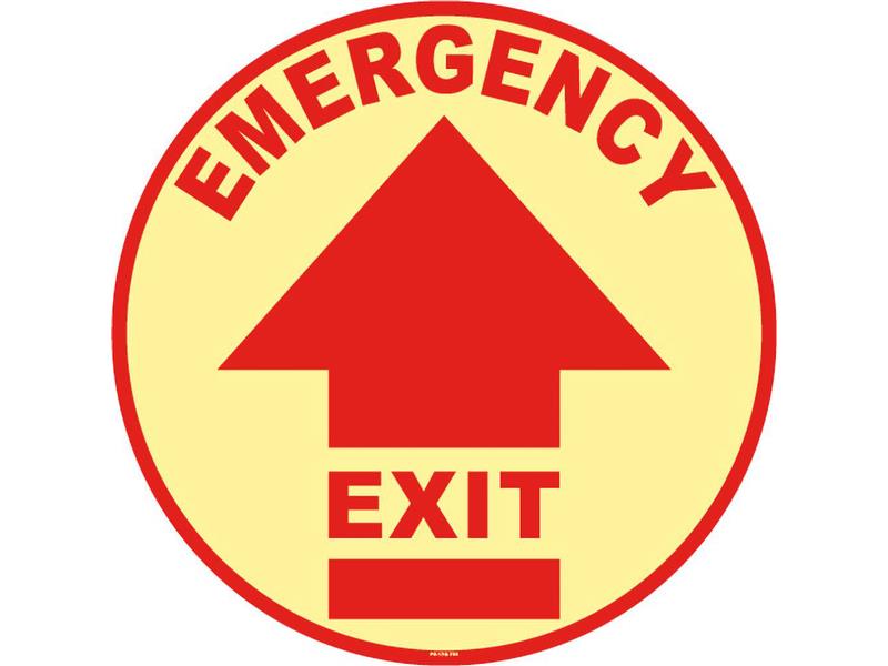 PRO SAFE INC PS-FSG-17-703