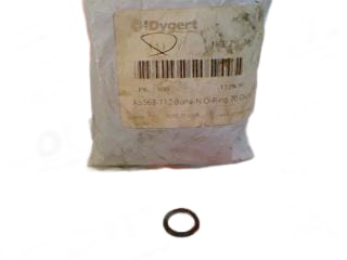 RT DYGERT AS568A112-100