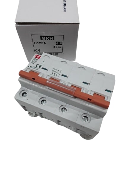 BKH4P-80C by LS ELECTRIC