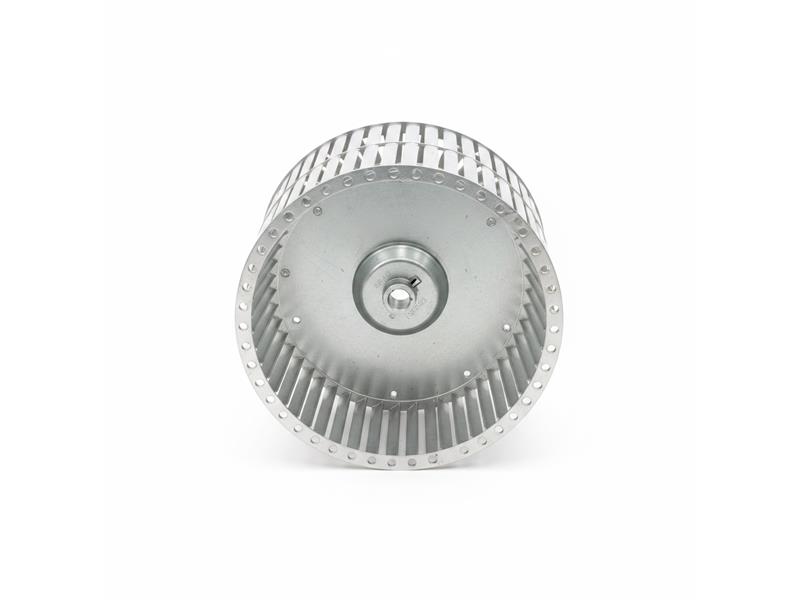 LAU FANS 02895829