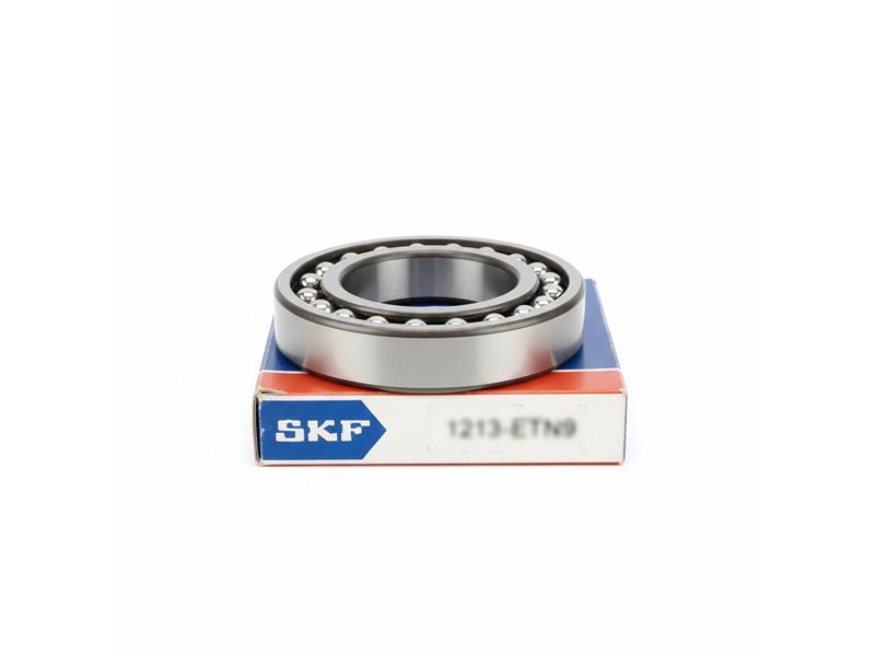 SKF 1213-ETN9