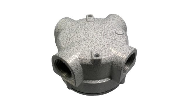 CORTEM GROUP ST26.1N