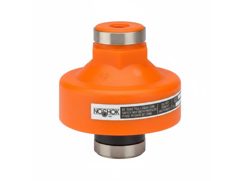 NOSHOK 10-04S-V-T-08C-1F