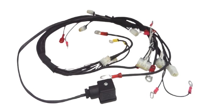 NACCO INDUSTRIES 524149908