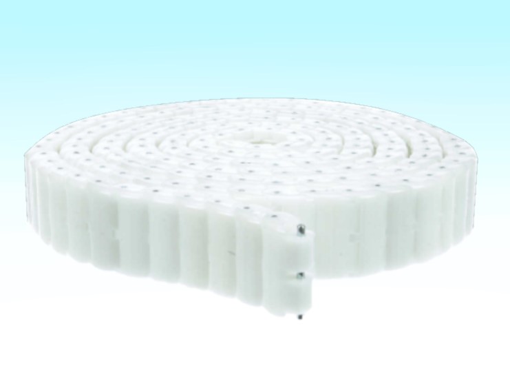 REGAL REXNORD N6 CPLG CHAIN-10 FT