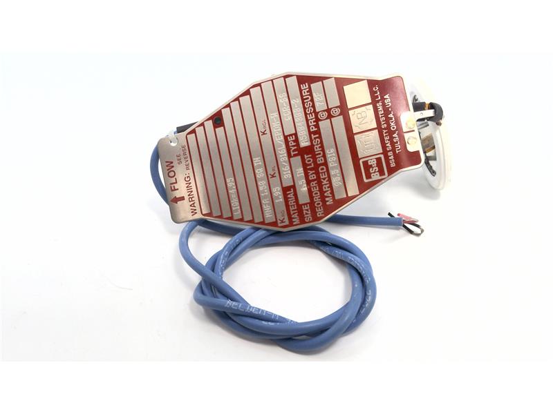 BS&B SAFETY SYSTEMS GCR-SS