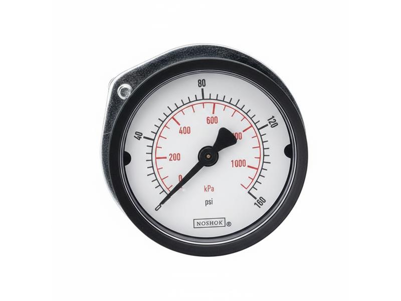 NOSHOK 15-110-300-PSI/KPA-BLFF