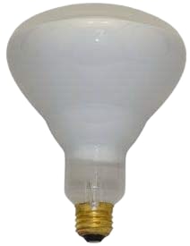 120BR/FL60-120V by PHILIPS