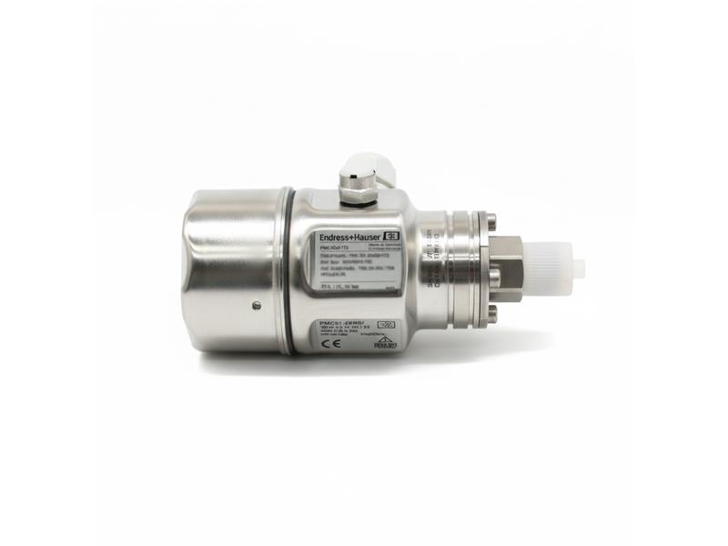 ENDRESS & HAUSER PMC51-2XR0/173