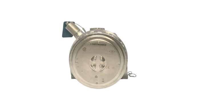 DET TRONICS PIRECLB1A1W1