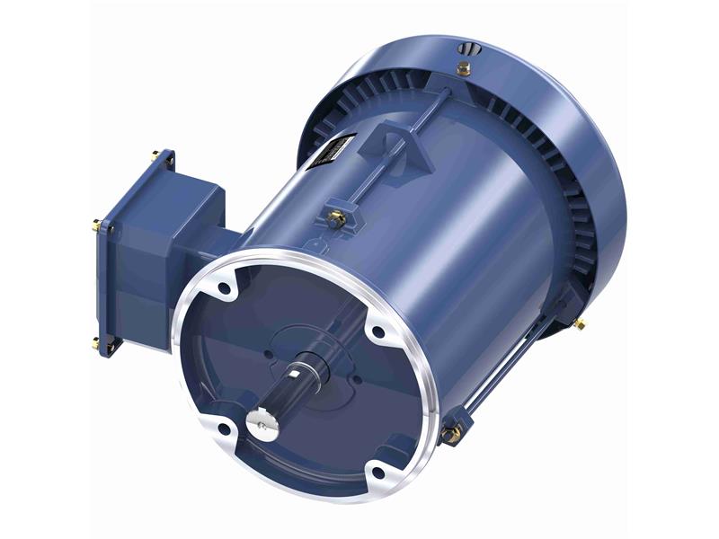 REGAL REXNORD 184TTFBD8029