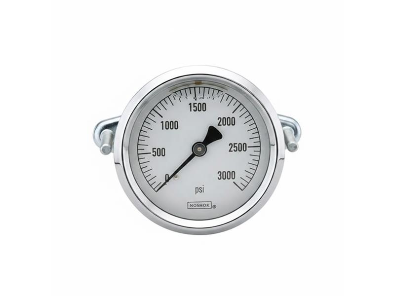 NOSHOK 25-100-200-PSI/KG/CM2-BSC-BCR-BP3