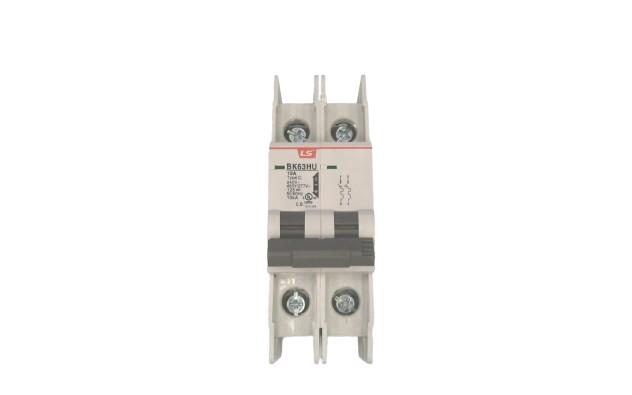 LS ELECTRIC BK63HU-2P-C15-240V