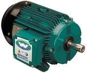 BROOK CROMPTON BA4M020V4