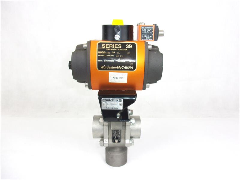 1039/1 BT4466TSW by FLOWSERVE