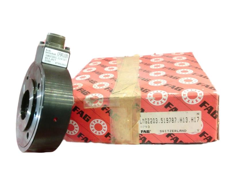 SCHAEFFLER GROUP LMGZ203.519787.H13.H17