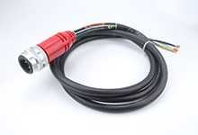 MOLEX C03006K19M150E