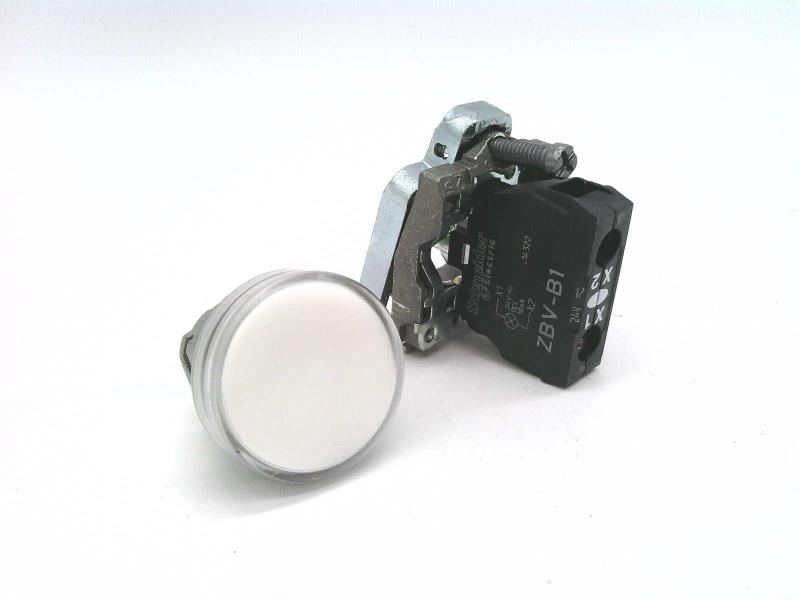 XB4BVB1 by SCHNEIDER ELECTRIC