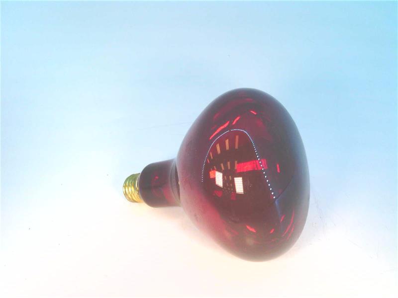 FEIT ELECTRIC 250R40/10-130