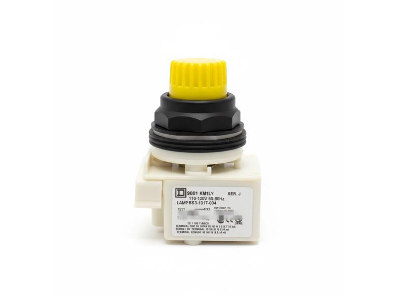 SCHNEIDER ELECTRIC 9001-SKP1LY7