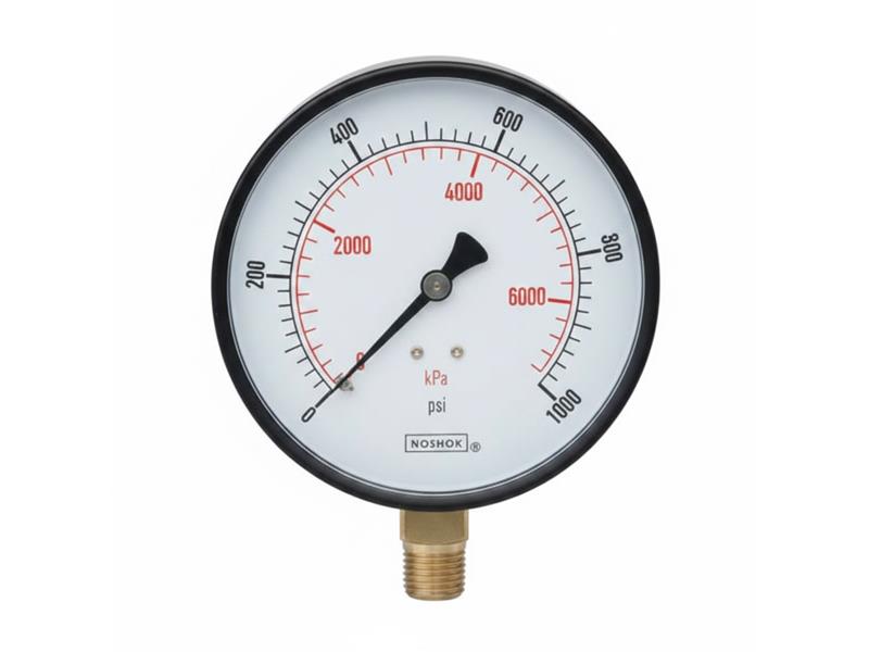 NOSHOK 20-110-15-PSI/KPA-SSB-BP3-CC