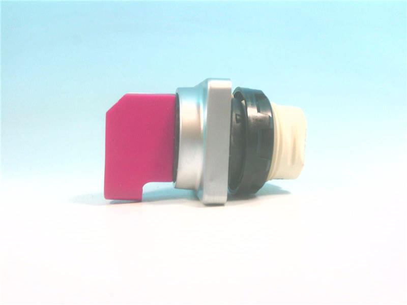 SCHNEIDER ELECTRIC 9001-D2G4R