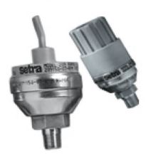 SETRA 2091-250P-G-2M-24-A1-H