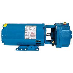 CRANE PUMPS & SYSTEMS INC 330CS7M