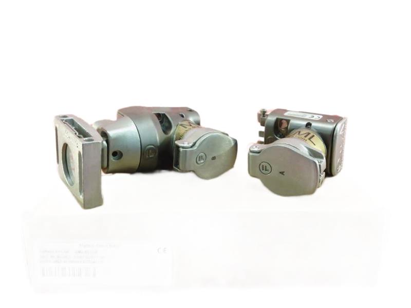 FORTRESS INTERLOCKS DM2-MLIS-S