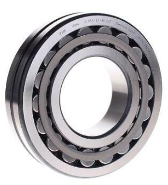 SCHAEFFLER GROUP 21315E-TVPB