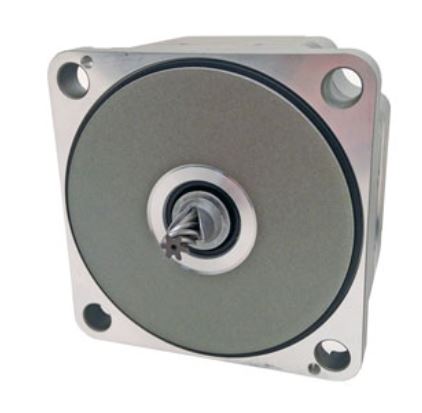 ORIENTAL MOTOR BLM460SP-GFV2