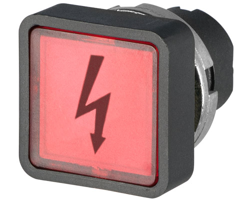 020LQBIRKS72 by NEW ELFIN