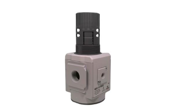 CAMOZZI MX2-1/2-R020