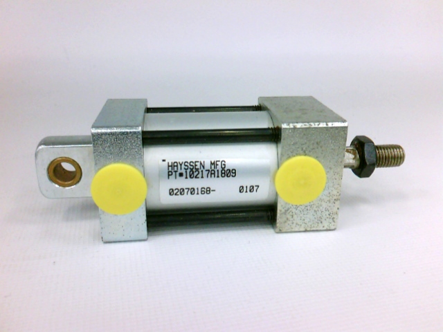 10217A1809 by WATLOW