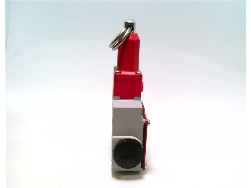 AUTOMATION DIRECT SDM2K96X11