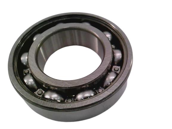 SKF 6005-JEM