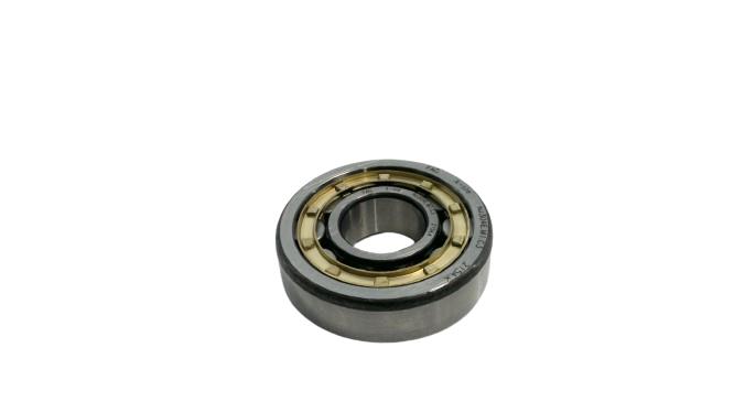 SCHAEFFLER GROUP NJ304-E-M1-C3
