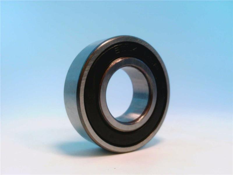 SCHAEFFLER GROUP 6004.2RSR.C3